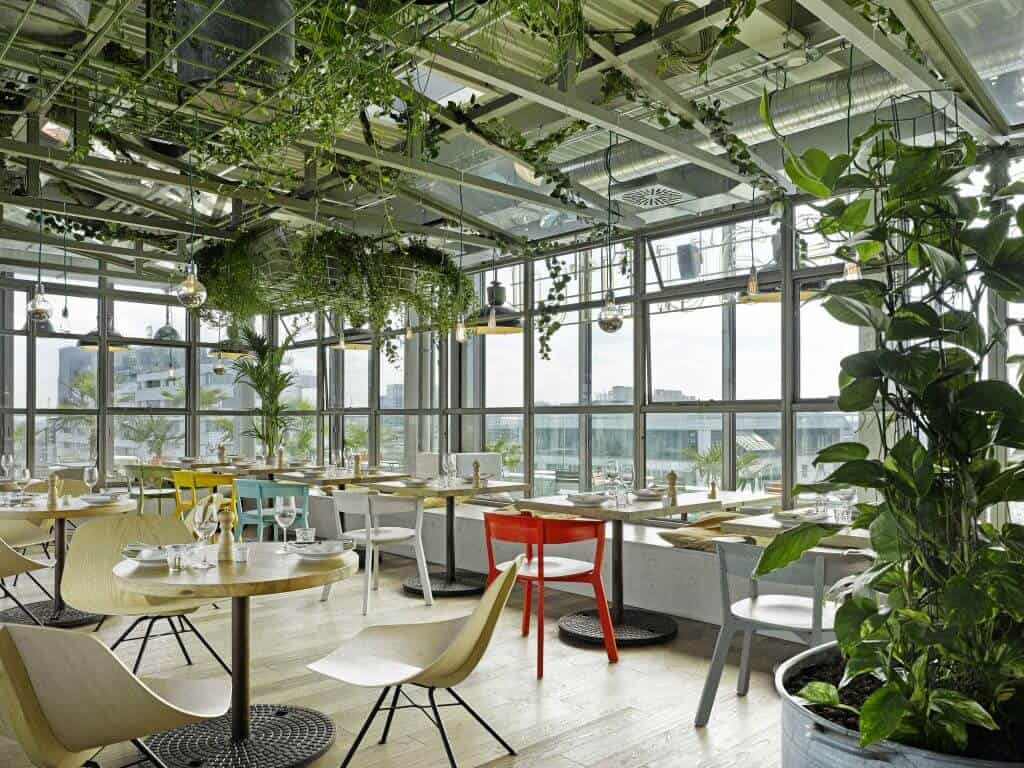 Jungle-Urban Conceptual Rooms
